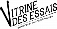 « Chambre d’ondes » de l’artiste Anne-Sarah Le Meur.png